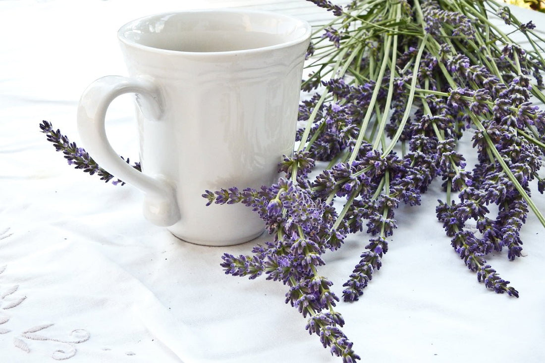 The Benefits of Lavender and Frankincense for Relaxation - Jasmyn & Greene